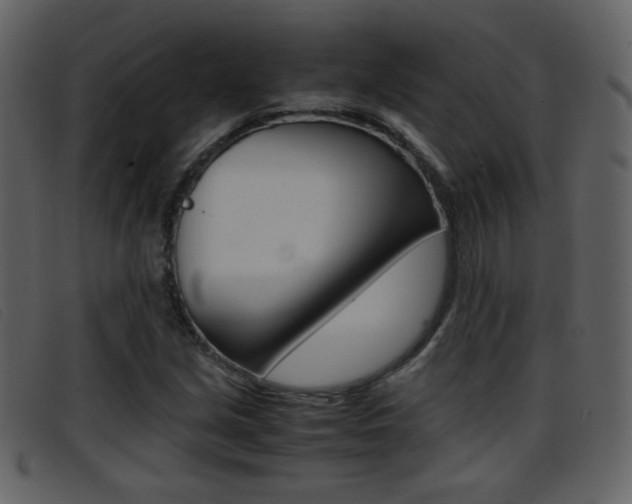 X0000096651213200802050926