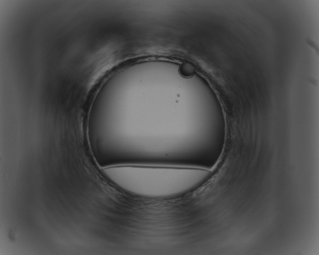 X0000096651214200802050926