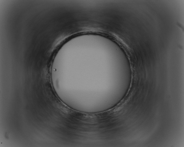X0000096651215200802050926