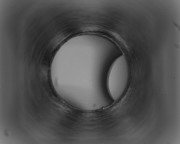 X0000096651217200802050926