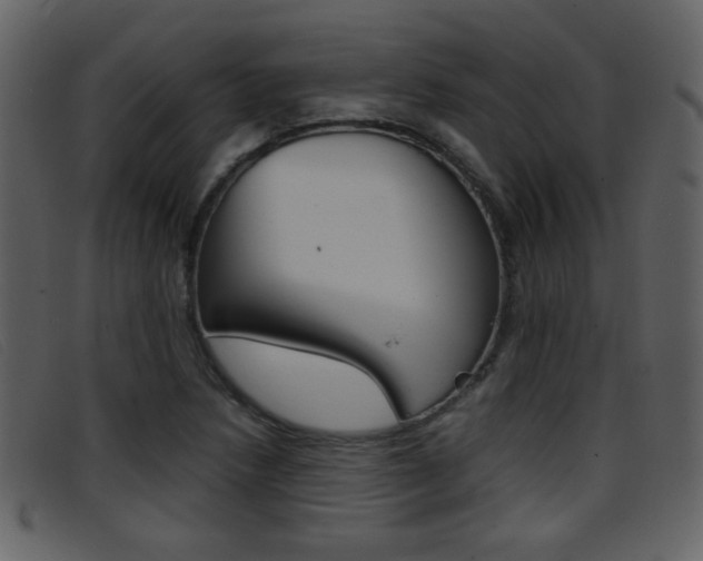 X0000096651218200802050926