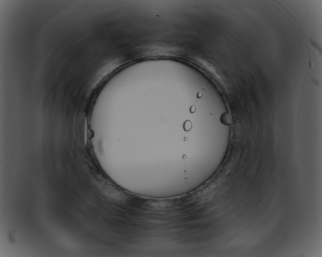 X0000096651219200802050926