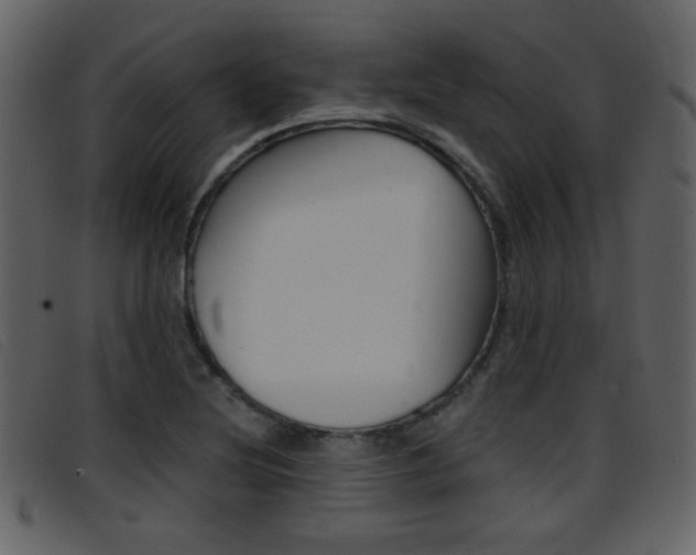 X0000096651220200802050926