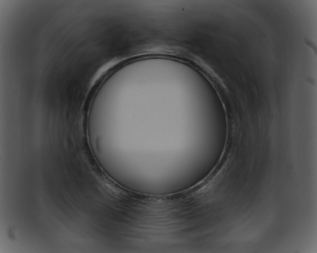 X0000096651222200802050926