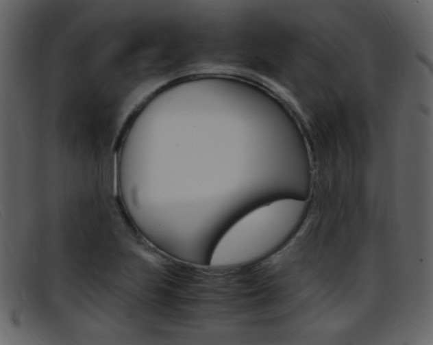 X0000096651223200802050926