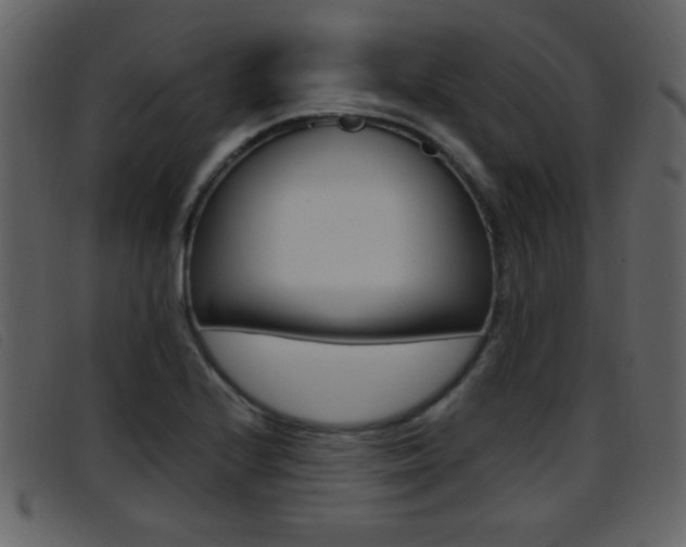 X0000096651224200802050926