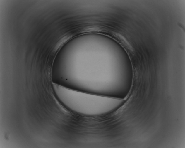 X0000096651225200802050926