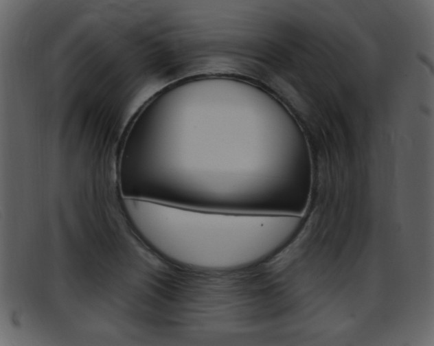 X0000096651226200802050926
