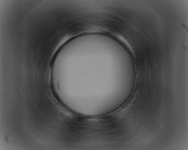 X0000096651227200802050926