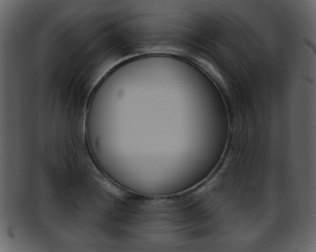 X0000096651228200802050926