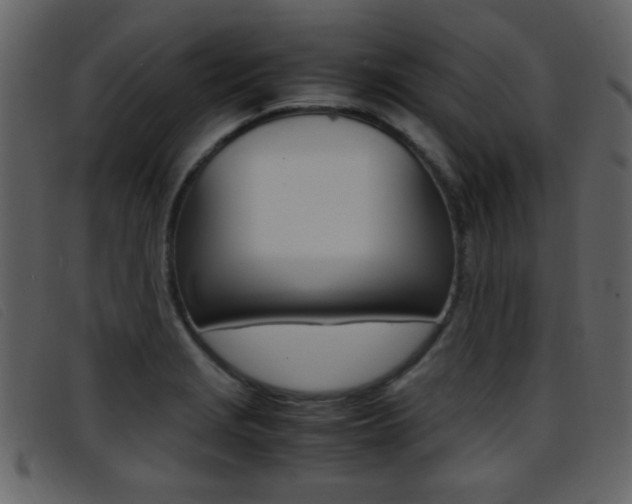 X0000096651229200802050926