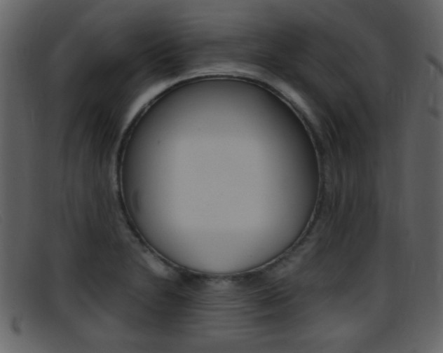 X0000096651230200802050926