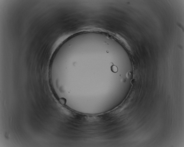 X0000096651231200802050926