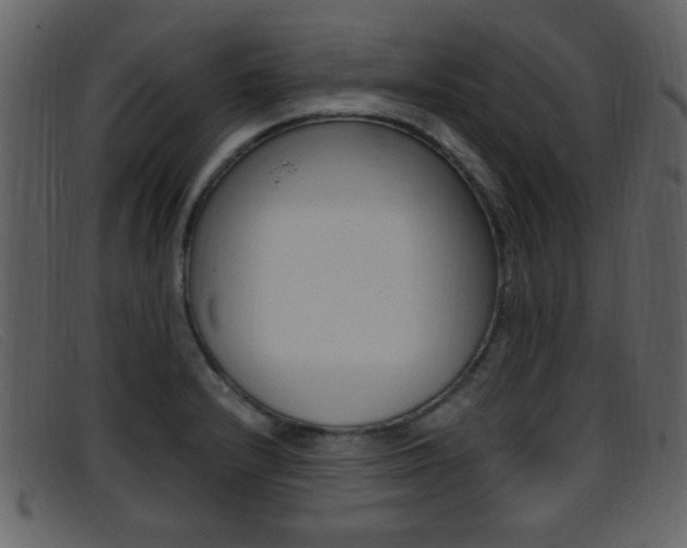X0000096651232200802050926