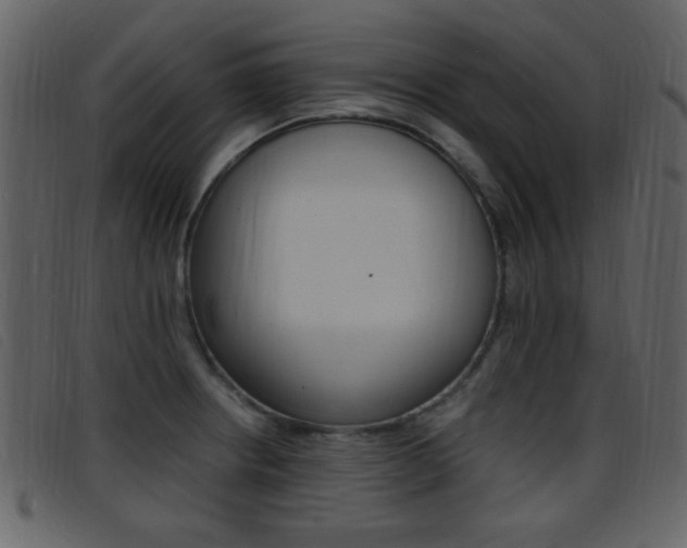 X0000096651234200802050927