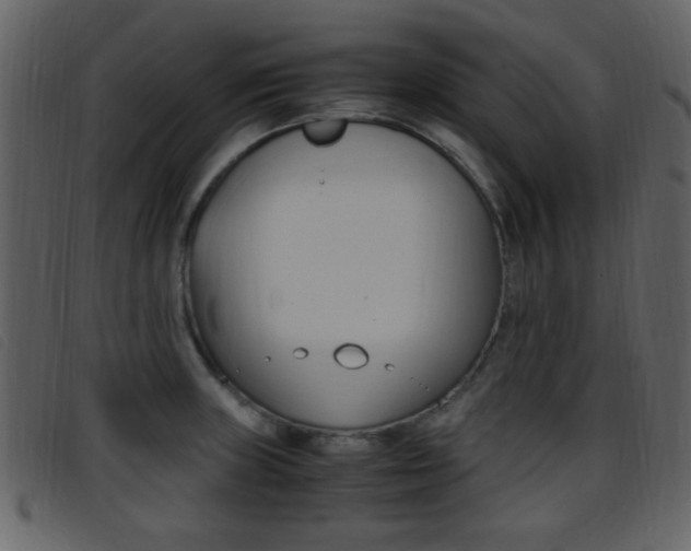 X0000096651235200802050927