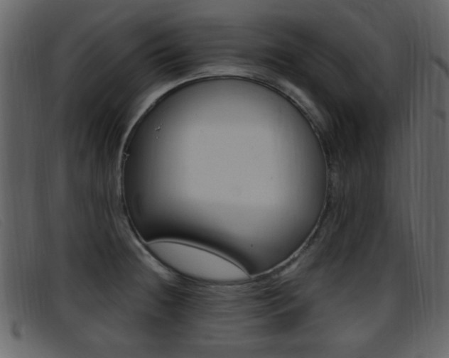 X0000096651236200802050927