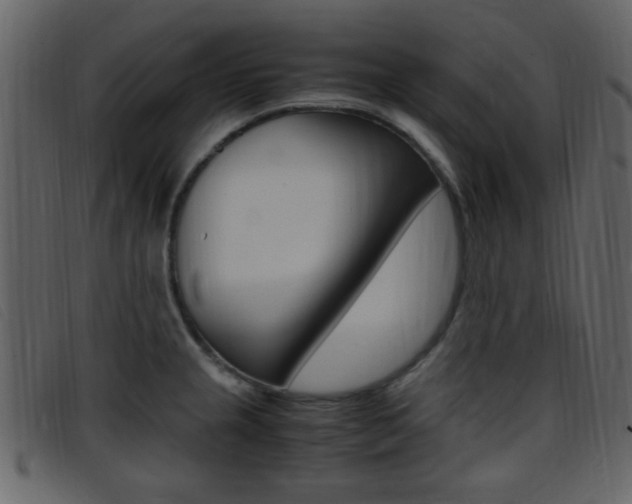 X0000096651237200802050927
