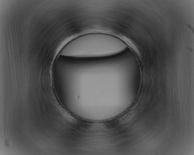 X0000096651238200802050927