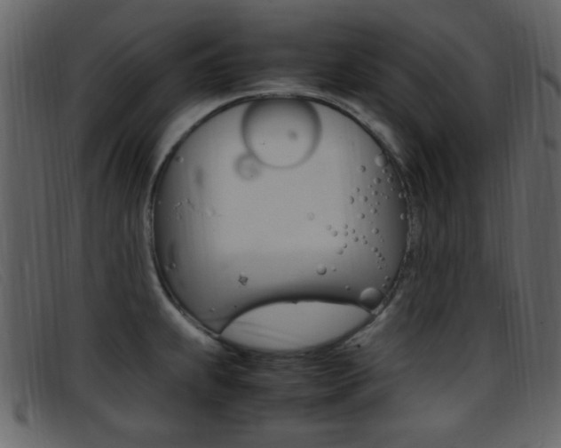 X0000096651239200802050927