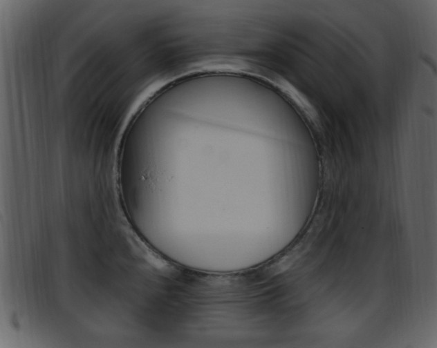 X0000096651240200802050927