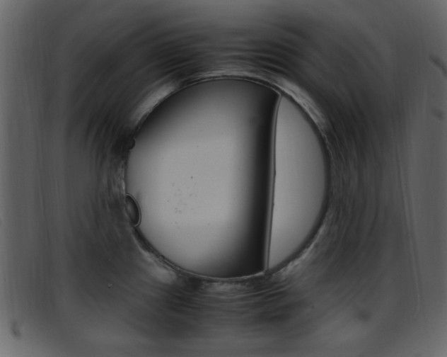 X0000096651241200802050927