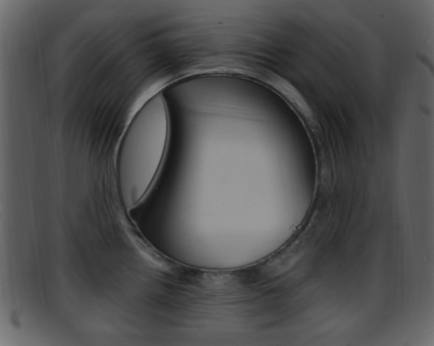 X0000096651242200802050927