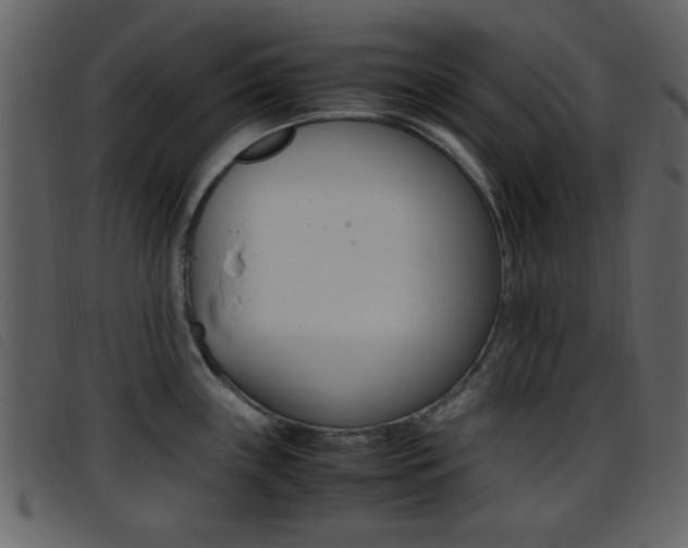 X0000096651243200802050927