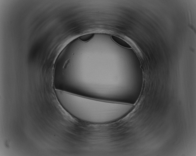 X0000096651244200802050927