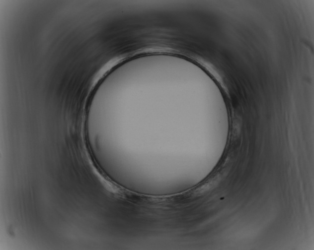 X0000096651245200802050927