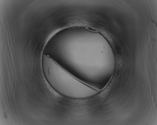 X0000096651246200802050927