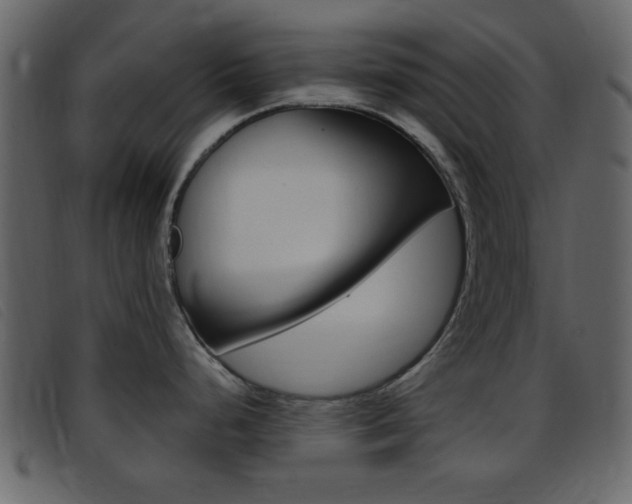 X0000096651248200802050927