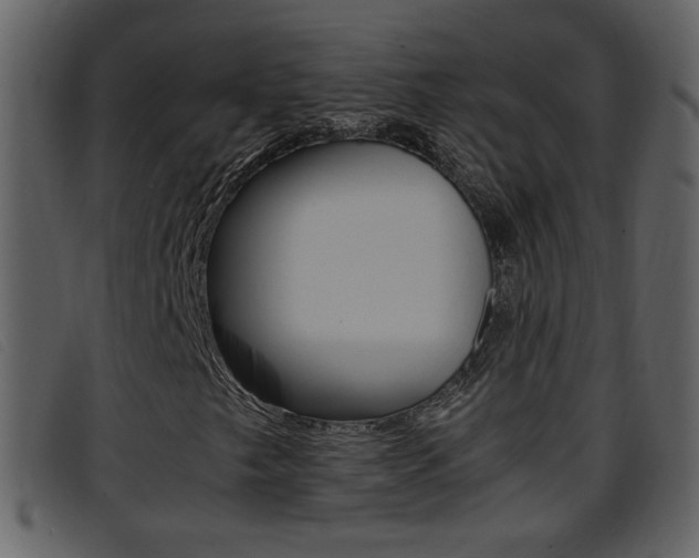 X0000096651249200802050926