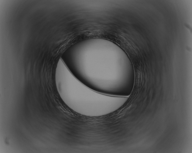 X0000096651250200802050926