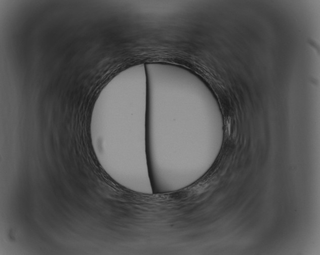 X0000096651251200802050926