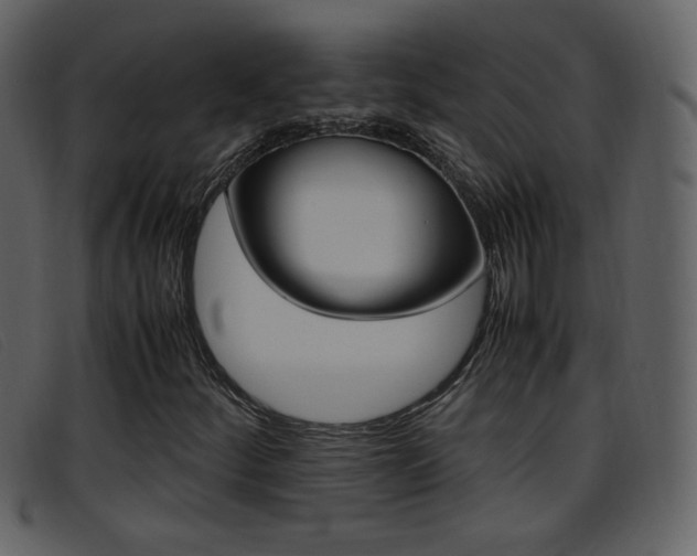 X0000096651252200802050926