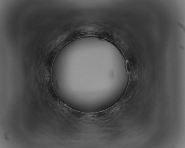 X0000096651253200802050926
