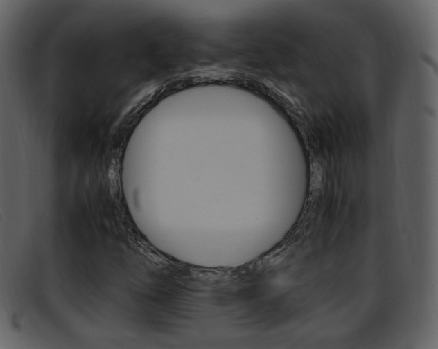 X0000096651254200802050926