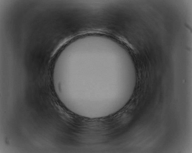 X0000096651256200802050926