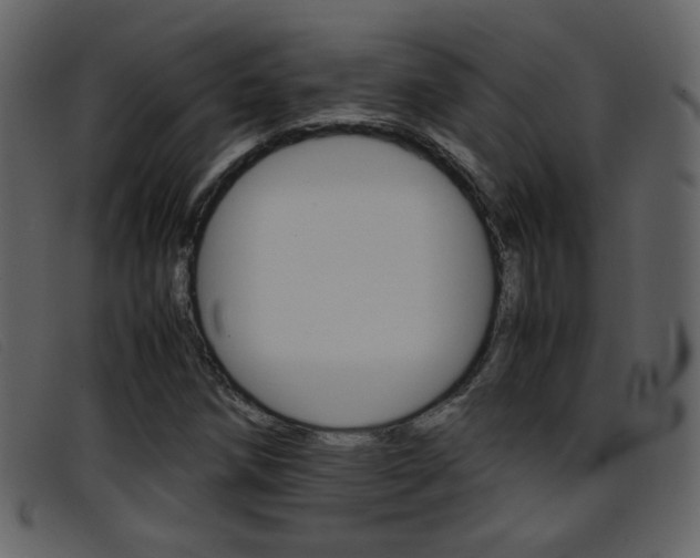 X0000096651258200802050926