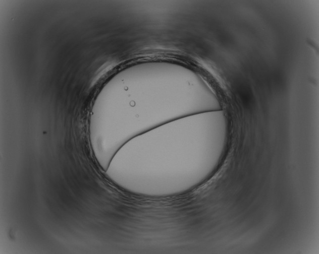 X0000096651259200802050926