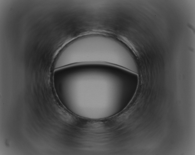 X0000096651260200802050926