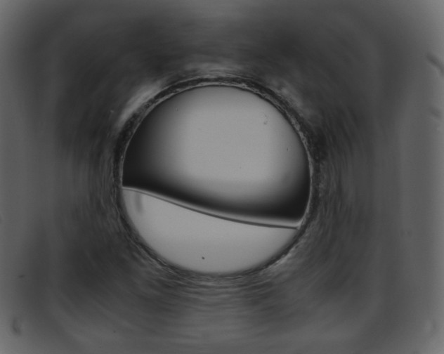 X0000096651261200802050926