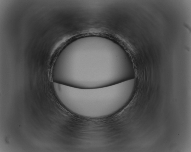 X0000096651262200802050926