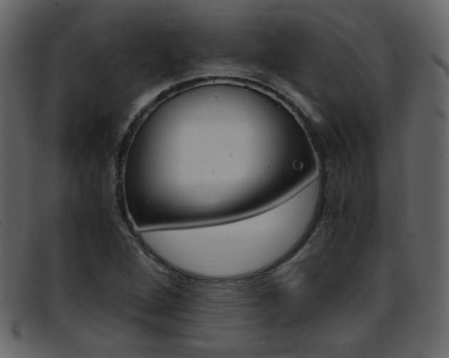 X0000096651264200802050926