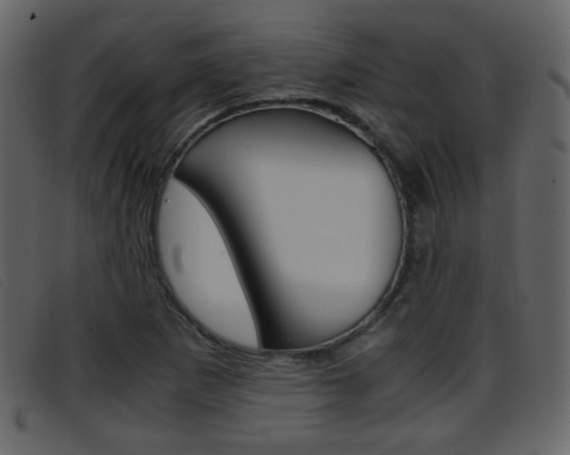X0000096651265200802050926