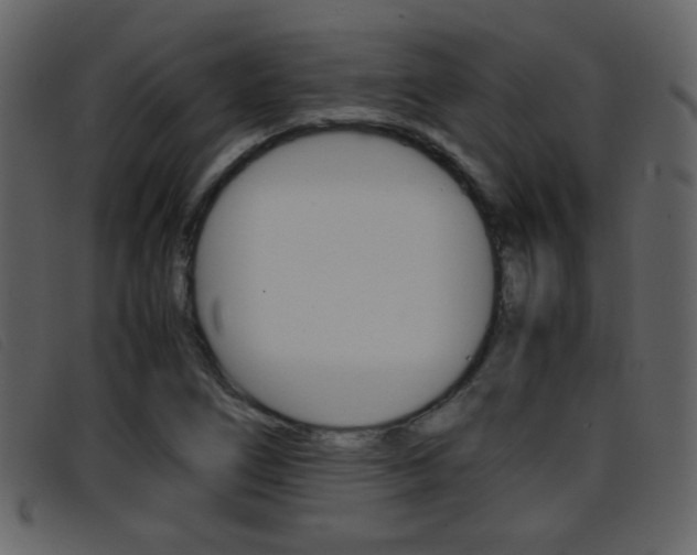 X0000096651266200802050926