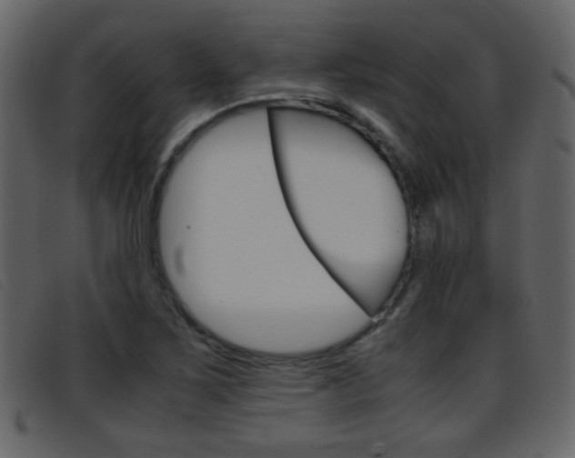 X0000096651267200802050926