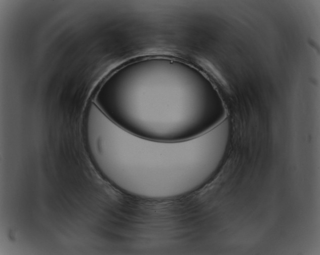 X0000096651268200802050926