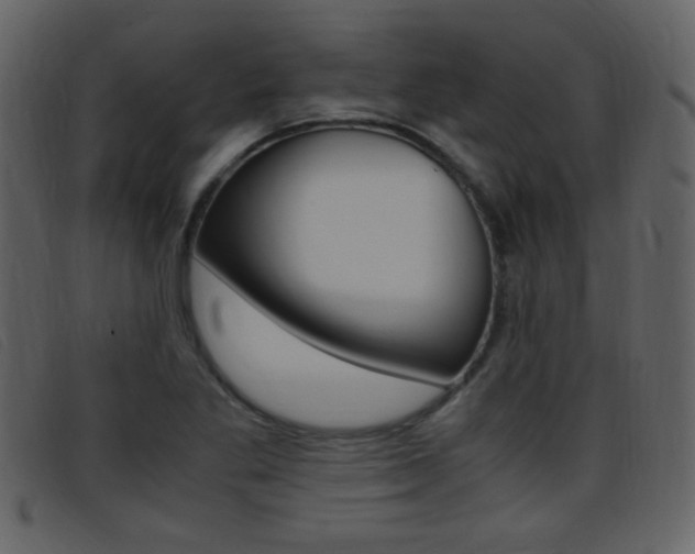 X0000096651269200802050926